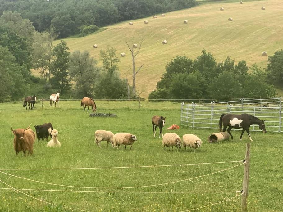 Gite A La Ferme Avec Jacuzzi Et Piscine Chauffee Saint-Felix-de-Tournegat Luaran gambar